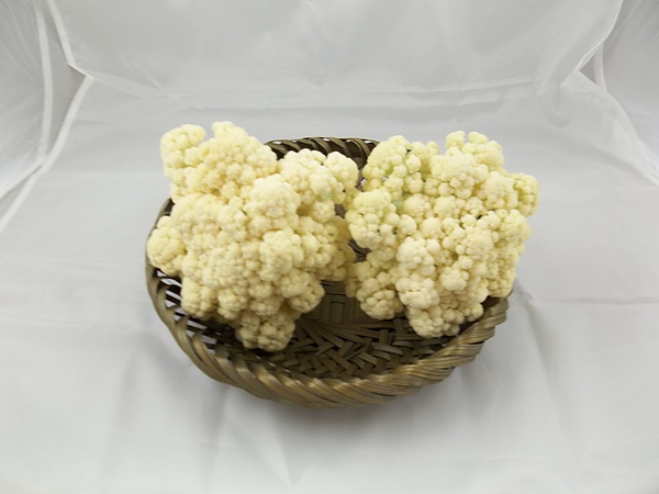 201205135245.jpg